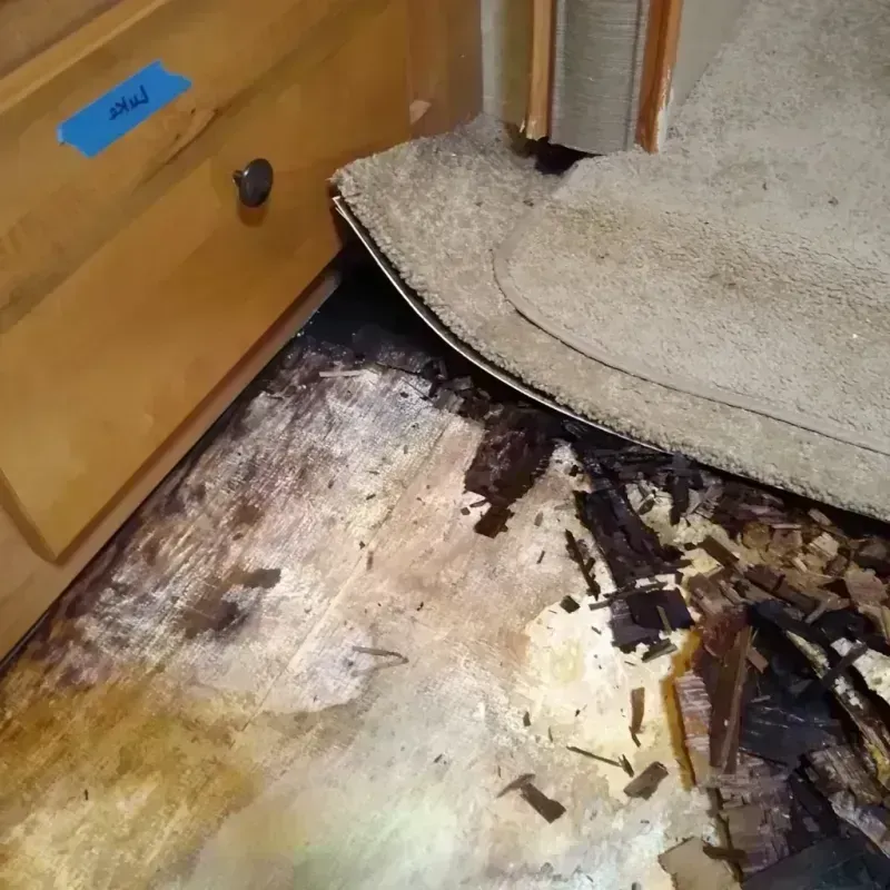 Wood Floor Water Damage in Bradford Woods, PA